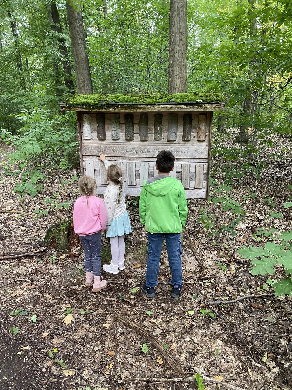 Netzwerk Colditz e.V. - Beziehung. Gestaltung. Entwicklung - Drei kleine Kinder stehen in einem Waldstück und blicken auf eine große, rustikale Holzkonstruktion, die einem vertikalen Xylophon oder einer interaktiven Naturausstellung ähnelt.