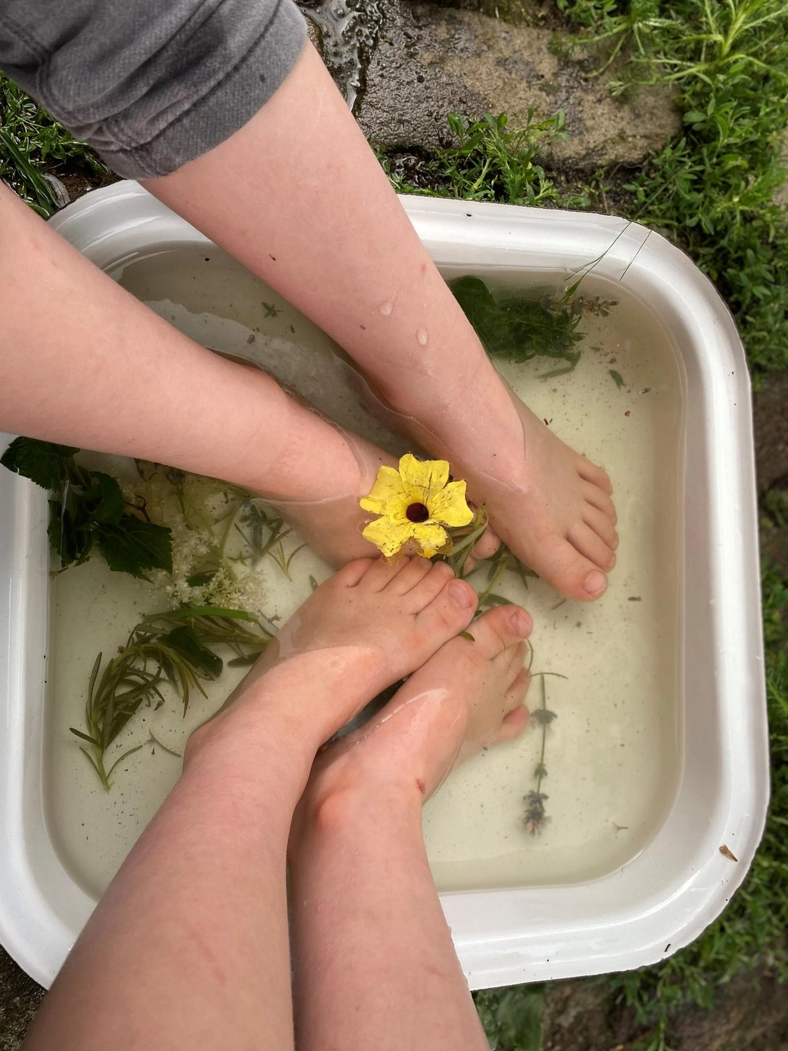 Netzwerk Colditz e.V. - Beziehung. Gestaltung. Entwicklung - Die Füße zweier Kinder baden in einer weißen Plastikschüssel, die mit Wasser, schwimmenden Kräutern und einer leuchtend gelben Blume gefüllt ist.