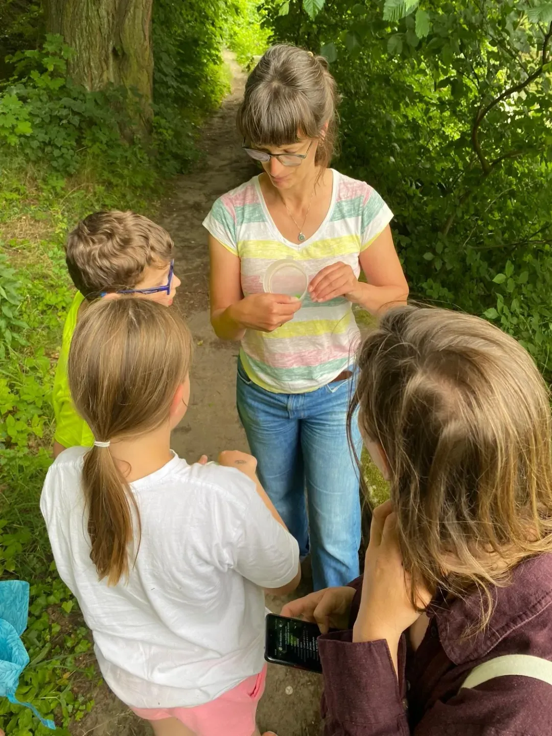 Eine Frau zeigt drei Kindern auf einem Waldweg einen kleinen durchsichtigen Behälter; ein Kind hält ein Smartphone in der Hand.